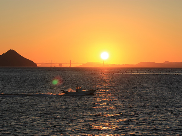 冷風干物乾燥機FishDry